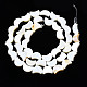 Eau douce naturelle de coquillage perles brins X-SHEL-N026-151-2