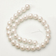 Shell Imitated Pearl Bead Strands BSHE-F0014-14mm-10-2