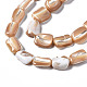 Chapelets de perles de coquille de trochid / trochus coquille SSHEL-S266-014B-3