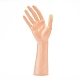 Manichino di plastica mano femminile display BDIS-K005-01-1