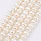 Natural Cultured Freshwater Pearl Beads Strands PEAR-D187-48-1
