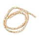 Brins de perles de coquillages naturels de troca BSHE-E030-09B-02-2