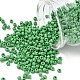 Бисер из стекла  X1-SEED-A010-3mm-47-1