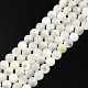 Brins de perles de coquillage blanc naturel SSHEL-N003-144D-01-1