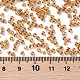 Glass Seed Beads SEED-A006-2mm-102C-3