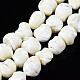 Chapelets de perles de coquille de trochid / trochus coquille SSHEL-S266-003-1