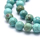 Chapelets de perles teintées en turquoise naturelle X-G-G768-02-10mm-2