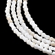 Нити бусин из натуральных пресноводных ракушек&nbsp;SHEL-A006-04A-3