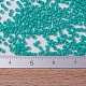 MIYUKI Delica Beads X-SEED-J020-DB0729-4