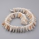 Hebras de perlas shell naturales BSHE-P021-07-2