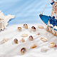 Pandahall elite 160pcs 4 perles de coquille de cauris mélangées naturelles de style BSHE-PH0001-27-2
