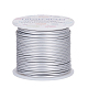 BENECREAT 12 Gauge Matte Jewelry Craft Wire 100 Feet Tarnish Resistant Aluminum Wire for Chrismas Halloween Beading Sculpting Model Skeleton Making (Silver AW-BC0001-2mm-12-1