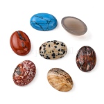 Cabochons en pierres gemmes, ovale, pierre mixte, 18x13x5mm