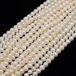 Natural Cultured Freshwater Pearl Beads Strands, Potato, Creamy White, 7~8mm, Hole: 0.8mm, about 46~48pcs/strand, 12.6 inch