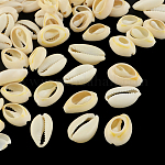 Perles coquillage cauri mélangées naturelles, cauris, papayawhip, 16~18x12~13x5~7mm, environ 470 pcs/500 g