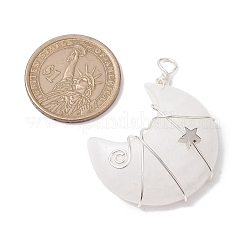 Подвески из медной проволоки с кристаллами натурального кварца&nbsp;PALLOY-JF02686-05