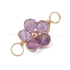 10 шт. 10 стиля: натуральный амазонит&nbsp;PALLOY-JF03605