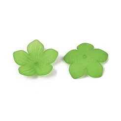Protezioni tallone acrilico smerigliato&nbsp;KY-Q004-08C