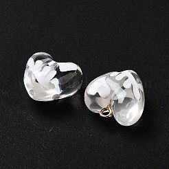 Подвески из прозрачной эмали из смолы&nbsp;RESI-D076-01D