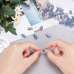 DIY-Set zur Herstellung von Fischperlenarmbändern&nbsp;EGLA-SC0001-09B