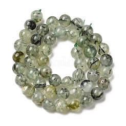 Природные пренит нитей бисера&nbsp;LS-G-G457-8mm-03