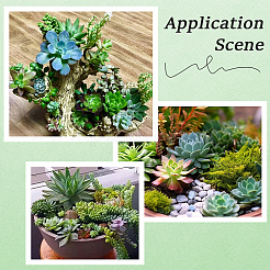 Pianta succulenta artificiale in pvc&nbsp;AJEW-SP0004-35A
