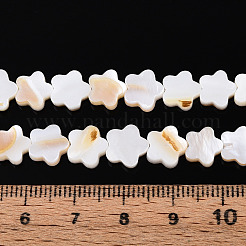 Нити бусин из натуральных пресноводных ракушек&nbsp;SHEL-S276-111A