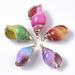 Аэрозольная краска и гальванические спиральные подвески SHEL-N026-11