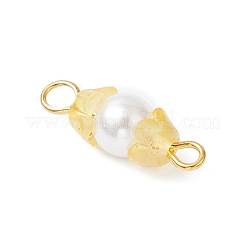 Подвески-соединители из перламутрового стекла и акрила с выпечкой&nbsp;PALLOY-JF04299-02