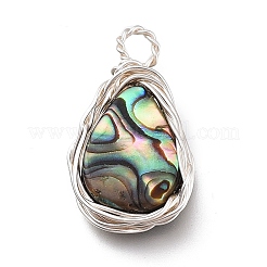 Natürliche Abalone Muschel / Paua Muschel Anhänger&nbsp;X-PALLOY-JF00477-02