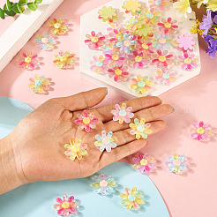 60 Stück 6 Farben transparente Harzblumen-Cabochons&nbsp;RESI-TA0004-79