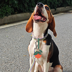 1 шт. брелки из искусственной кожи цвета мандарин KEYC-SP0001-47