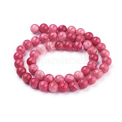 Нити бусин из ракушек BSHE-L041-07B-01