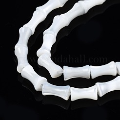 Нити бусин из натуральных трохоидных/трохус ракушек SSHEL-N034-93-B01