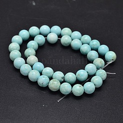 Природные Говлит бисер нитей TURQ-P027-17-8mm