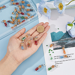 30 шт. стеклянная бутылка со стеклянными бусинами европейские подвески&nbsp;PALLOY-FI0001-02