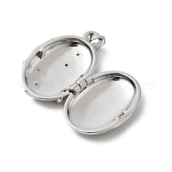 Messing Micro Pave klare Zirkonia Medaillon Anhänger&nbsp;X-KK-L262-07P