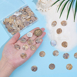 120 шт. подвески из натуральной ракушки акойя SHEL-ME0001-01