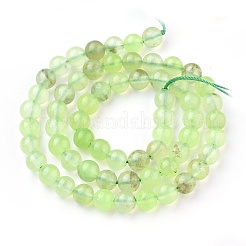 Perline Prehnite naturale fili&nbsp;X-G-I250-01C