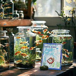 Прозрачные штампы из ПВХ с летней тематикой&nbsp;DIY-WH0631-0222