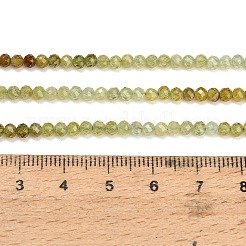 Naturelles grenat vert brins de perles&nbsp;GG-CBA77FB-B11-3mm