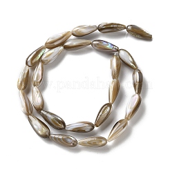 Нити бусин из натуральных пресноводных ракушек SSHEL-B002-12