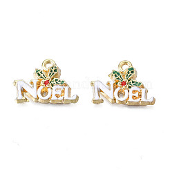 Gestell Legierung Emaille Anhänger&nbsp;LS-ENAM-N055-140