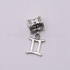 Set mit Anhängern aus Legierung im tibetischen Stil&nbsp;PALLOY-WH0070-48P