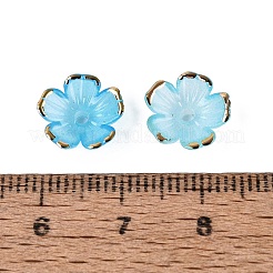 Chapeaux de perles en plastique&nbsp;KY-Q005-04A-12