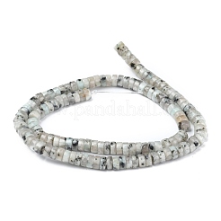 Натуральный кунжут яшма / киви нитки бусины яшмы G-Z006-C22