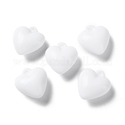 Непрозрачные акриловые подвески&nbsp;MACR-F079-05D