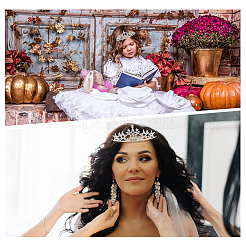 10 шт. 10 стиля резинки для волос из сплава со стразами OHAR-DR0001-06