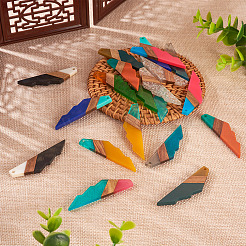 20pcs 10 colores resina transparente y colgantes grandes de madera de nogal&nbsp;RESI-TA0001-73