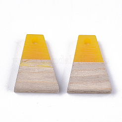 Подвески из смолы и дерева&nbsp;LS-RESI-S358-52C